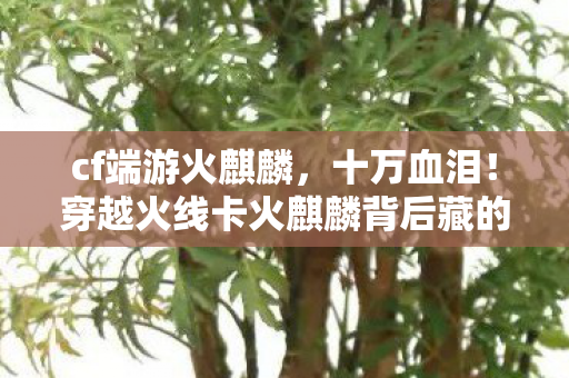 穿越火线卡火麒麟背后藏的隐情图片