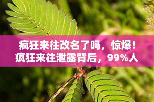 人没料到的3大体验真相图片