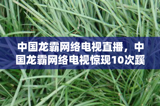 中国龙霸网络电视惊现10次蹊跷信号图片