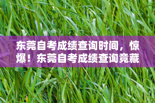 东莞自考成绩查询竟藏这数字玄机图片