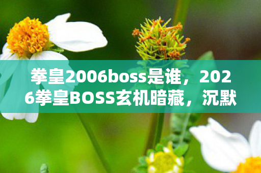 2026拳皇BOSS玄机暗藏图片