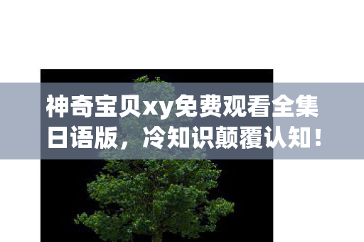 玩了十年神奇宝贝xy43的我竟目瞪口呆图片