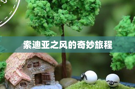 索迪亚之风的奇妙旅程 索迪亚之风的奇妙旅程