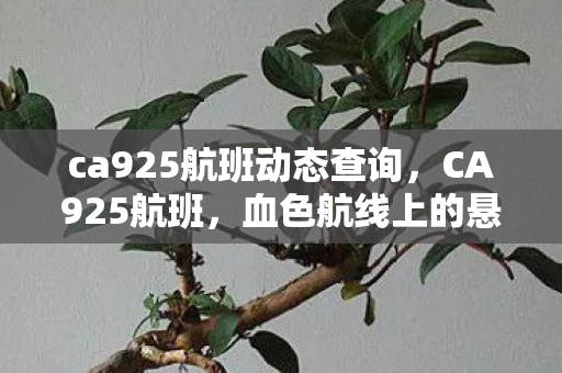 ca925航班动态查询图片