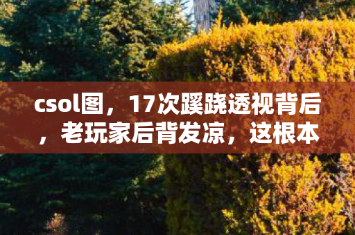 17次蹊跷透视背后图片