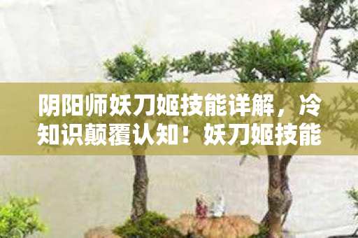 阴阳师妖刀姬技能详解图片