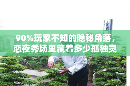 恋夜秀场里藏着多少孤独灵魂的扎心真相图片