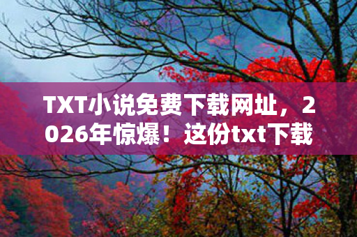 TXT小说免费下载网址图片