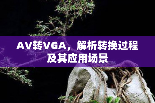 AV转VGA,解析转换过程及其应用场景 AV转VGA,解析转换过程及其应用场景