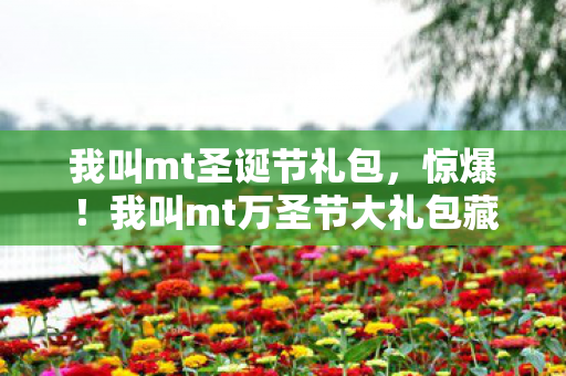 我叫mt万圣节大礼包藏10图片