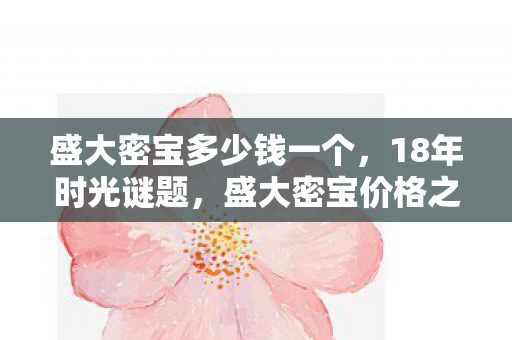 盛大密宝多少钱一个图片