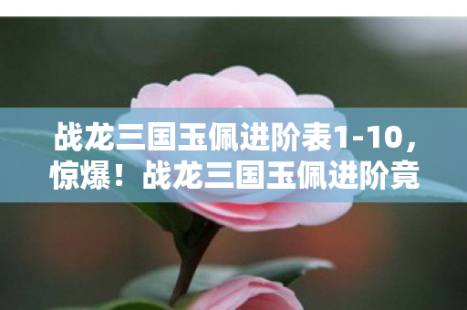战龙三国玉佩进阶竟藏99图片