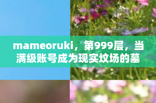 当满级账号成为现实坟场的墓碑图片