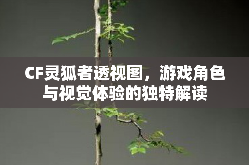 CF灵狐者透视图,游戏角色与视觉体验的独特解读 CF灵狐者透视图,游戏角色与视觉体验的独特解读