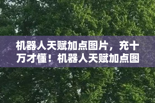 机器人天赋加点图背后藏着让钱包吓一跳的隐情图片