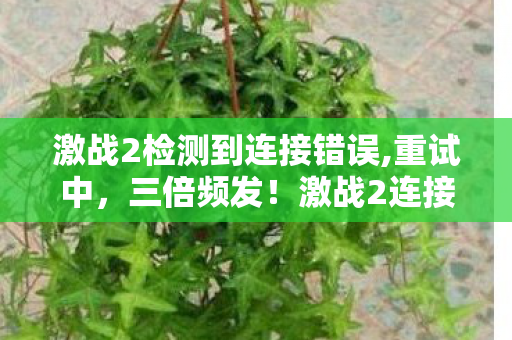 激战2检测到连接错误图片