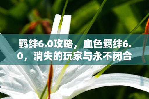 消失的玩家与永不闭合的电子幽灵之眼图片