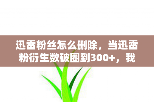 当迅雷粉衍生数破圈到300图片