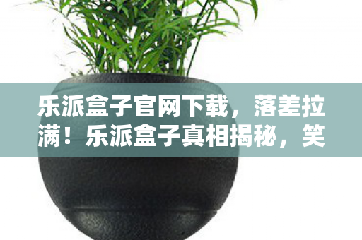 最后竟笑着笑着哭了图片
