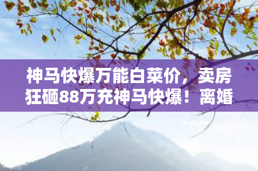 卖房狂砸88万充神马快爆图片