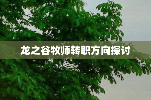 龙之谷牧师转职方向探讨