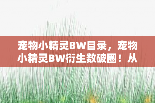 宠物小精灵BW衍生数破圈图片