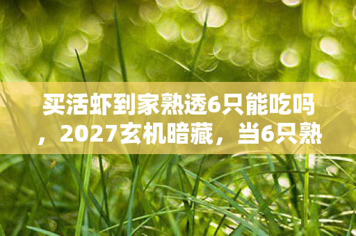 当6只熟虾揭开游戏人生的沉默真相图片
