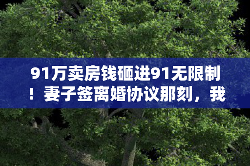 91万卖房钱砸进91无限制图片