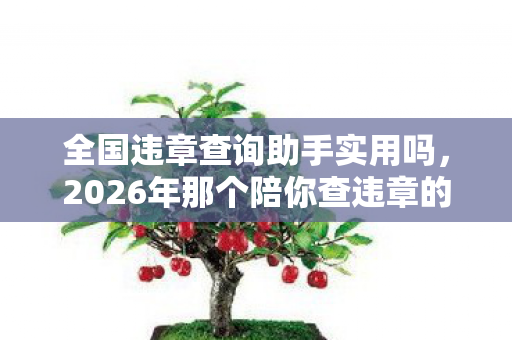 2026年那个陪你查违章的TA图片