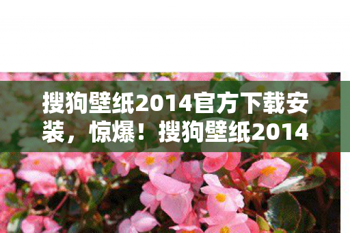 搜狗壁纸2014下载竟藏500万隐情图片