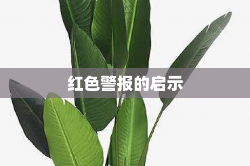 红色警报的启示 红色警报的启示