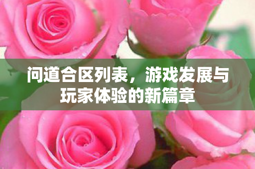 问道合区列表，游戏发展与玩家体验的新篇章