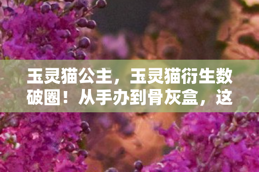 这波消费我直接投名状拉满图片