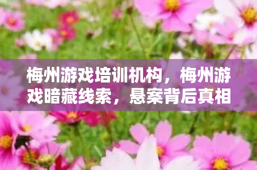 悬案背后真相毛骨悚然图片