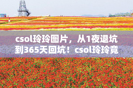 csol玲玲竟让我体验了游戏界的过山车图片