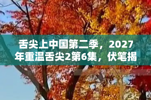 2027年重温舌尖2第6集图片