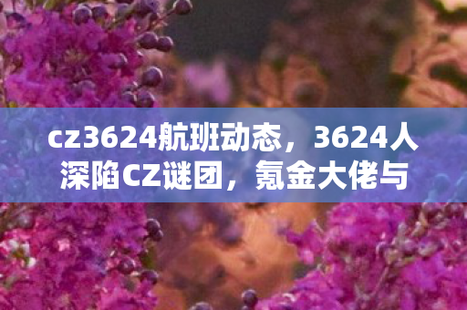 氪金大佬与零氪党集体破防图片