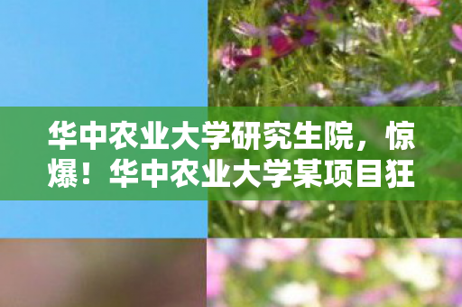 华中农业大学某项目狂砸500万图片