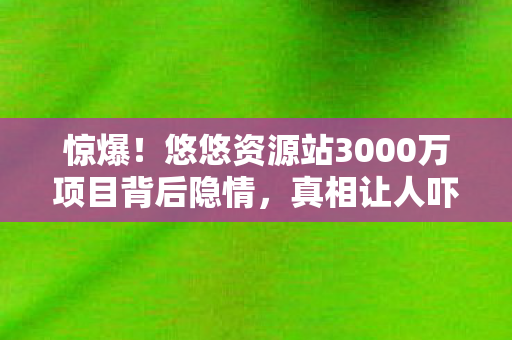 悠悠资源站3000万项目背后隐情图片