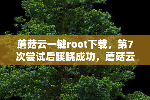蘑菇云一键root下载图片