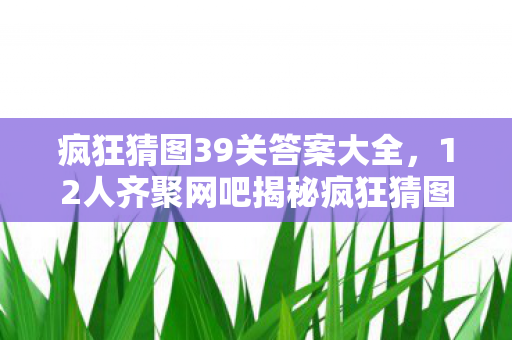 12人齐聚网吧揭秘疯狂猜图39关图片