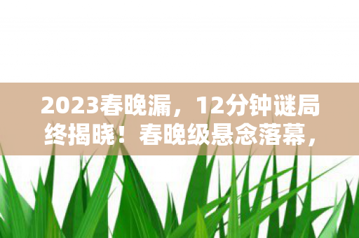 12分钟谜局终揭晓图片