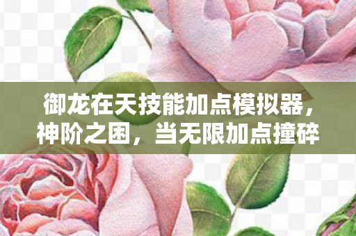 御龙在天技能加点模拟器图片