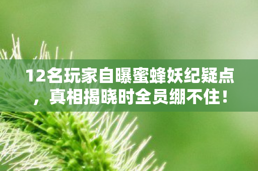 12名玩家自曝蜜蜂妖纪疑点，真相揭晓时全员绷不住！