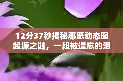 12分37秒揭秘邪恶动态图起源之谜图片