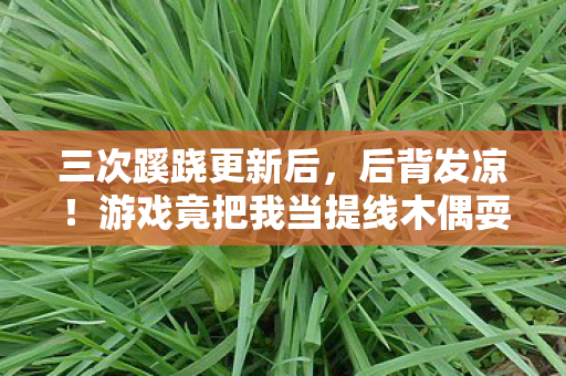 三次蹊跷更新后，后背发凉！游戏竟把我当提线木偶耍了这么久