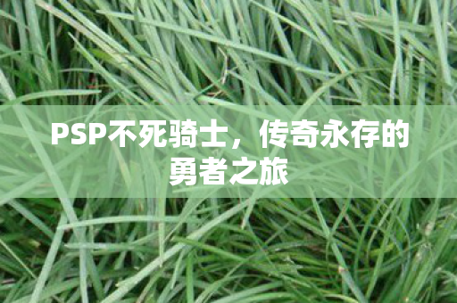 PSP不死骑士,传奇永存的勇者之旅 PSP不死骑士,传奇永存的勇者之旅