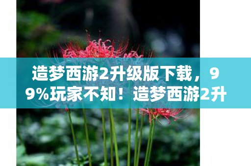 造梦西游2升级版竟藏着这3个颠覆认知的真相图片