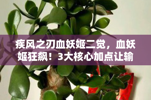 3大核心加点让输出炸裂图片