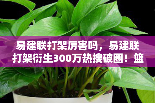 易建联打架衍生300万热搜破圈图片
